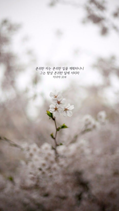 존귀한 자.jpg