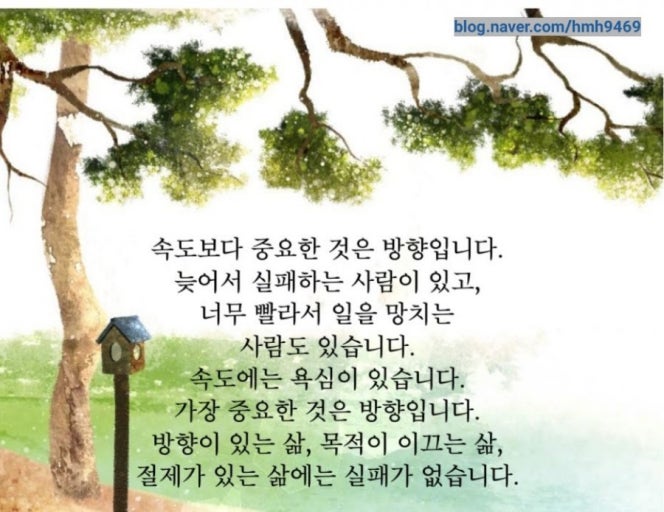 속도와 방향.jpg
