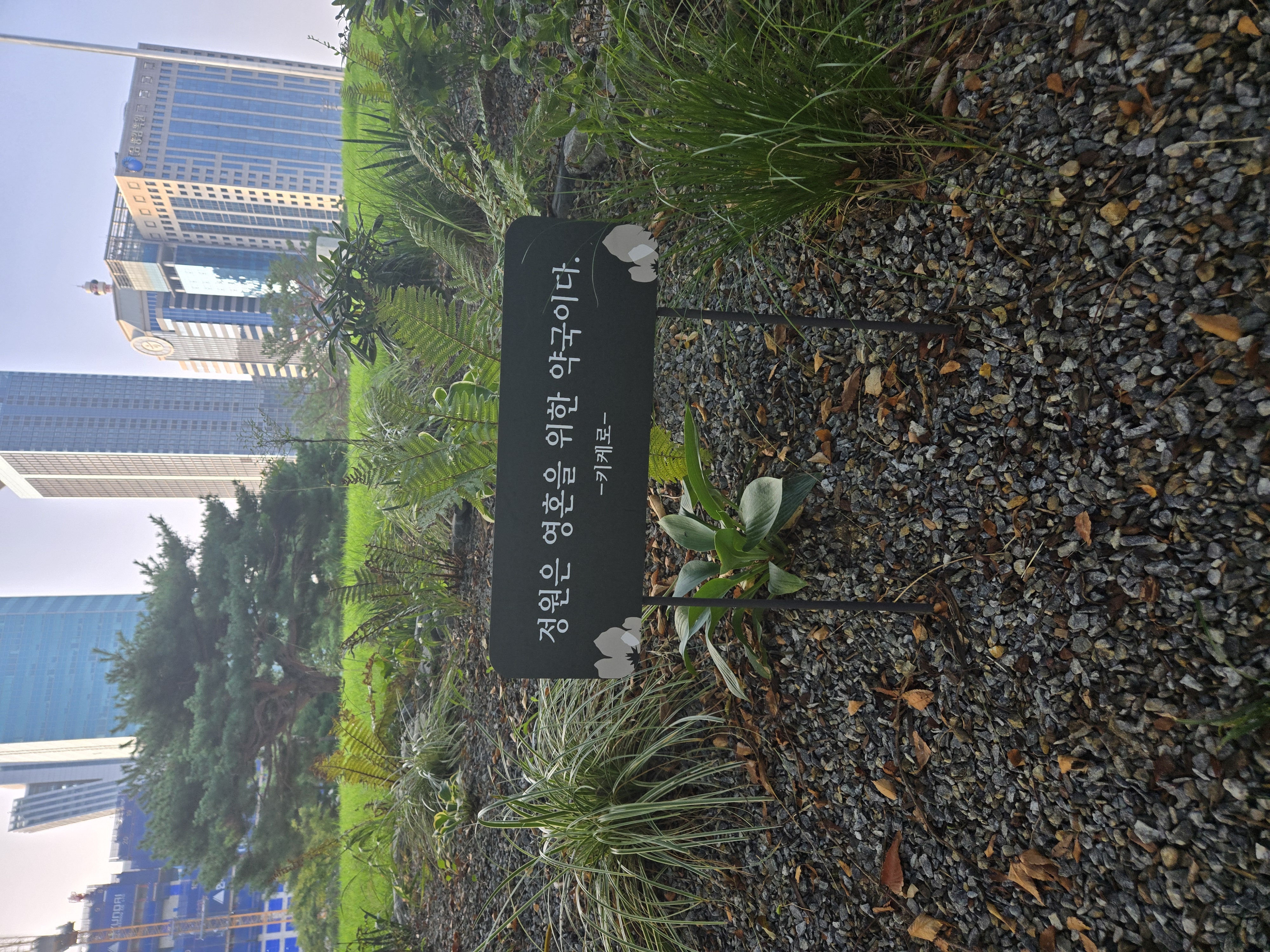 20240908_074446.jpg