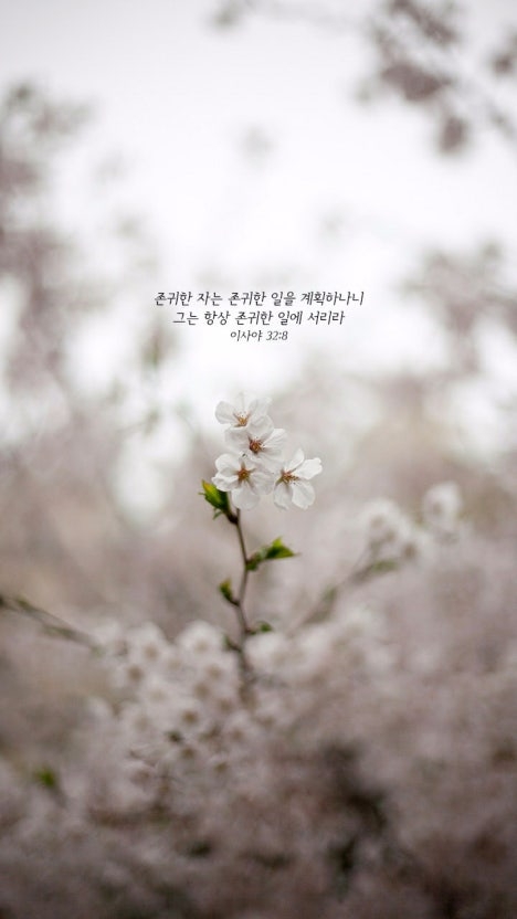 존귀한 자.jpg